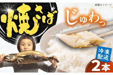 【郷土料理】焼さば 2本 | 焼さば 魚 さば 焼き魚 郷土料理 塩さば 鯖 さば 冷凍 食品 小分け 大容量 人気 魚 魚介 海鮮 弁当 惣菜 贈答 プレゼント ギフト お取り寄せ グルメ  島根県雲南市/長谷川鮮魚店 [AICG003]