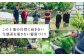 島根 雲南 雲南市 食事券 ギフト券 グルメ 食事 旅行 観光 チケット
