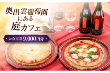 奥出雲葡萄園 庭カフェお食事券9,000円 チケット 島根県 島根 雲南 雲南市 お食事券 食事券 ギフト券 グルメ 食事 旅行 観光 チケット 利用券 島根県雲南市/有限会社奥出雲葡萄園 [AICS077]