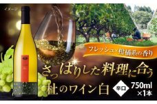 奥出雲葡萄園 杜のワイン白   国産 ワイン セット 島根県雲南市/有限会社奥出雲葡萄園 [AICS051]