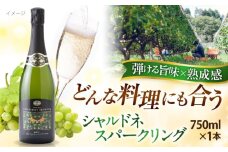 奥出雲葡萄園 シャルドネスパークリング   お酒 国産 セット 熟成ワイン 熟成 酒 ギフト スパークリング スパークリングワイン 果実酒 お祝 贈答用 アルコール パーティー フルボトル 島根県雲南市/有限会社奥出雲葡萄園 [AICS058]