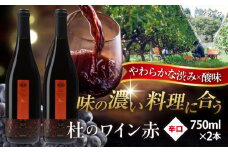奥出雲葡萄園 杜のワイン赤 2本セット  ワイン お酒 ギフト 国産 熟成ワイン 熟成 酒 赤 赤ワイン 辛口 果実酒 お祝 贈答用 アルコール フルボトル 飲料 島根県雲南市/有限会社奥出雲葡萄園 [AICS060]