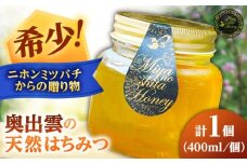 希少な天然日本ミツバチの「はちみつ」 400ml×1個 島根県雲南市/みやのしたハチミツ｜島根 雲南 天然 はちみつ ハチミツ 日本ミツバチ 希少 国産 純粋 蜂蜜 百花蜜 [AICL002]
