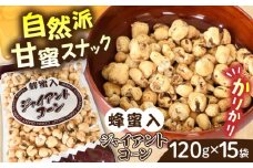 西八製菓 蜂蜜入りジャイアントコーン 120g×15袋  だがし おやつ  島根県雲南市/西八製菓株式会社 [AICA004]