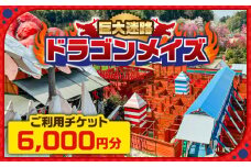 「心の駅　陽だまりの丘」 巨大迷路 ドラゴンメイズで使えるチケット 6000円分 迷路 観光  島根県雲南市/株式会社　丸隆 [AIAZ002]