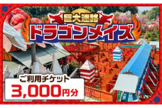 「心の駅　陽だまりの丘」 巨大迷路 ドラゴンメイズで使えるチケット 3000円分 迷路 観光  島根県雲南市/株式会社　丸隆 [AIAZ001]