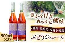 奥出雲葡萄園 ぶどうジュース2本セット ぶどうジュース ぶどう ブドウ 葡萄 セット ストレートジュース 国産 果汁 果物 産地直送 飲料 くだもの フルーツ ストレート ジュース 贈答 奥出雲 贅沢 島根県雲南市/有限会社奥出雲葡萄園 [AICS032]