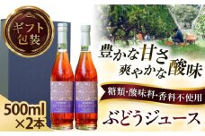 奥出雲葡萄園 【ギフト包装】 ぶどうジュース2本セット ぶどうジュース ぶどう ブドウ 葡萄 セット ストレートジュース 国産 果汁 果物 産地直送 飲料 くだもの フルーツ ストレート ジュース 贈答 奥出雲 贅沢 島根県雲南市/有限会社奥出雲葡萄園 [AICS031]