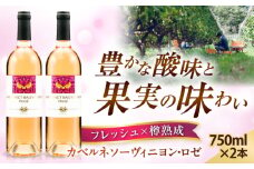奥出雲葡萄園 カベルネソーヴィニヨン・ロゼ 2本セット お酒 国産 ロゼ ロゼワイン 熟成ワイン 熟成 酒 ギフト 果実酒 お祝 贈答用 アルコール パーティー フルボトル 島根県雲南市/有限会社奥出雲葡萄園 [AICS023]