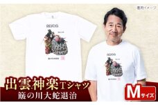 出雲神楽 簸の川大蛇退治カラーTシャツ FN-03 Mサイズ 島根県雲南市/田部写真館 [AICZ012]