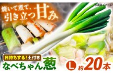 【先行予約】【2025年11月発送開始】焼いてそのまま美味しい！なべちゃん葱（土付き）秀品 Lサイズ5kg（約20本） ねぎ ネギ 島根県雲南市/山さんファーム [AICO002]
