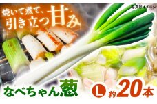 【先行予約】【2025年11月発送開始】焼いてそのまま美味しい！なべちゃん葱 秀品 Lサイズ5kg（500g×10袋）約20本 ねぎ ネギ 島根県雲南市/山さんファーム [AICO001]