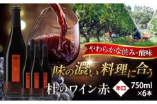 奥出雲葡萄園 杜のワイン赤 6本セット ワイン お酒 ギフト 国産 熟成ワイン 熟成 酒 赤 赤ワイン 辛口 果実酒 お祝 贈答用 アルコール フルボトル 飲料 島根県雲南市/有限会社奥出雲葡萄園 [AICS001] 
