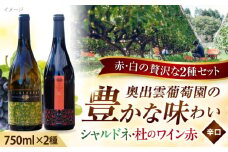 奥出雲葡萄園 シャルドネ・杜のワイン赤 ワイン お酒 ギフト 国産 熟成ワイン 熟成 酒 赤 赤ワイン 白 白ワイン 辛口 果実酒 お祝 贈答用 アルコール フルボトル 飲料 島根県雲南市/有限会社奥出雲葡萄園 [AICS005]