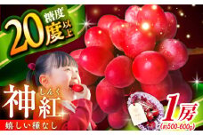 【2025年先行予約】【8月初旬頃から順次発送】数量限定！島根県オリジナル品種「神紅」1房 約500〜600g 産地直送 種なし葡萄 島根県雲南市/池田ぶどう農園　 [AIAA001]