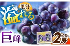 【2025年先行予約】【8月初旬頃から順次発送】溢れる果汁がたまらない！巨峰 2房 約700g 島根県雲南市/池田ぶどう農園　 [AIAA003]