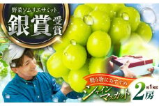 【2025年先行予約】【数量限定】【贈答用】旬の味わいを産地直送で！シャインマスカット 2房（約1kg）秀品・化粧箱入り 島根県雲南市/ギアファーム [AIAB001]