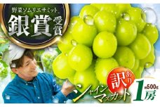 【2025年先行予約】【数量限定】【ご自宅用】旬の味わいを産地直送で！シャインマスカット 1房（約500g）簡易包装 訳あり 島根県雲南市/ギアファーム [AIAB004]