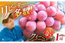 【2025年先行予約】【数量限定】【ご自宅用】リピーターが続出中！クイーンニーナ 1房（約450g）簡易包装 訳あり 島根県雲南市/ギアファーム [AIAB006]