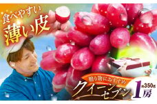 【2025年先行予約】【数量限定】【贈答用】期待の新品種！クイーンセブン 1房（約350g）秀品・化粧箱入り 島根県雲南市/ギアファーム [AIAB007]