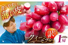 【2025年先行予約】【数量限定】【ご自宅用】期待の新品種！クイーンセブン 1房（約350g）簡易包装 訳あり 島根県雲南市/ギアファーム [AIAB008]