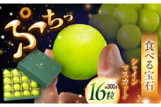 【2025年先行予約】【数量限定】贈り物におすすめ！シャインマスカット ジュエリーBOX 16粒(約300g) 島根県雲南市/ギアファーム [AIAB009]