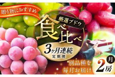 【全3回定期便】【2025年先行予約】【数量限定】【秀品】毎月ぶどうをお届け！イチオシ3品種 各2房 島根県雲南市/ギアファーム [AIAB010]