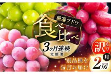 【全3回定期便】【2025年先行予約】【数量限定】【自宅用】毎月ぶどうをお届け！イチオシ3品種 各2房 島根県雲南市/ギアファーム [AIAB011]