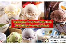 VANAGAプレミアムご当地アイス12個とアイス専用スプーン（ゴールド1本）の13点セット 島根県雲南市/やまざと.com [AICN001]