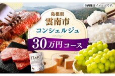 【雲南市コンシェルジュ】返礼品おまかせ！寄附額30万円コース 300000円 しまね和牛 ブランド牛 詰め合わせ プレゼント 人気 おすすめ ギフト グルメ 食品 島根県雲南市/雲南市ふるさと納税 [AIDM004]