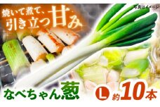 【先行予約】【2025年11月発送開始】焼いてそのまま美味しい！なべちゃん葱 秀品 Lサイズ2.5kg（500g×5袋）約10本 ネギ ねぎ 島根県雲南市/山さんファーム [AICO003]