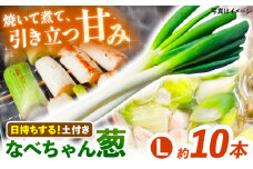 【先行予約】【2025年11月発送開始】焼いてそのまま美味しい！なべちゃん葱（土付き）秀品 Lサイズ2.5kg（約10本） ねぎ ネギ 島根県雲南市/山さんファーム [AICO004]