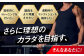 プロテイン ダイエット タンパク質 筋肉 筋トレ 運動 おいしい 飲料 人気
