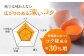 卵 放牧卵 鶏卵 生卵 国産 平飼い 放し飼い 卵焼き 卵かけご飯