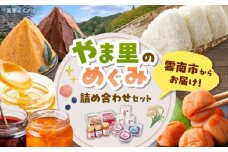 ３種の米を食べ比べ! 「やま里の恵み」詰合セット 米 こしひかり つや姫 きぬむすめ 梅 味噌 ジャム はちみつ 島根県雲南市/農事組合法人フレッシュファーム神代 [AICC002]