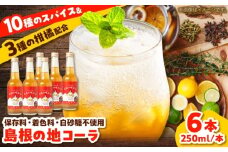 【年間1万本販売!】原料にこだわったクラフトコーラ 250ml×6本セット 手作り ジュース ソフトドリンク スパイス 無添加 健康 島根県雲南市/出雲SPICE LAB. [AIAD001]