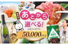 【あとから選べる】雲南市ふるさとギフト 5万円分 カタログギフト あとから寄附 あとからギフト あとからセレクト 選べる寄附 島根県雲南市/雲南市ふるさと納税 [AIDM009]