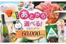 【あとから選べる】雲南市ふるさとギフト 6万円分 カタログギフト あとから寄附 あとからギフト あとからセレクト 選べる寄附 島根県雲南市/雲南市ふるさと納税 [AIDM010]