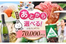 【あとから選べる】雲南市ふるさとギフト 7万円分 カタログギフト あとから寄附 あとからギフト あとからセレクト 選べる寄附 島根県雲南市/雲南市ふるさと納税 [AIDM011]