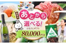 【あとから選べる】雲南市ふるさとギフト 8万円分 カタログギフト あとから寄附 あとからギフト あとからセレクト 選べる寄附 島根県雲南市/雲南市ふるさと納税 [AIDM012]