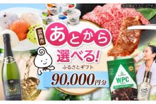【あとから選べる】雲南市ふるさとギフト 9万円分 カタログギフト あとから寄附 あとからギフト あとからセレクト 選べる寄附 島根県雲南市/雲南市ふるさと納税 [AIDM013]