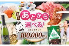 【あとから選べる】雲南市ふるさとギフト 10万円分 カタログギフト あとから寄附 あとからギフト あとからセレクト 選べる寄附 島根県雲南市/雲南市ふるさと納税 [AIDM014]