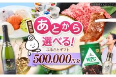 【あとから選べる】雲南市ふるさとギフト 50万円分 カタログギフト あとから寄附 あとからギフト あとからセレクト 選べる寄附 島根県雲南市/雲南市ふるさと納税 [AIDM015]