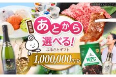 【あとから選べる】雲南市ふるさとギフト 100万円分 カタログギフト あとから寄附 あとからギフト あとからセレクト 選べる寄附 島根県雲南市/雲南市ふるさと納税 [AIDM016]