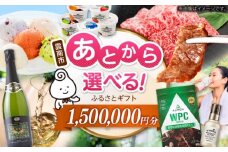 【あとから選べる】雲南市ふるさとギフト 150万円分 カタログギフト あとから寄附 あとからギフト あとからセレクト 選べる寄附 島根県雲南市/雲南市ふるさと納税 [AIDM017]