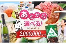 【あとから選べる】雲南市ふるさとギフト 200万円分 カタログギフト あとから寄附 あとからギフト あとからセレクト 選べる寄附 島根県雲南市/雲南市ふるさと納税 [AIDM018]