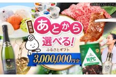 【あとから選べる】雲南市ふるさとギフト 300万円分 カタログギフト あとから寄附 あとからギフト あとからセレクト 選べる寄附 島根県雲南市/雲南市ふるさと納税 [AIDM019]
