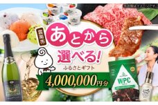 【あとから選べる】雲南市ふるさとギフト 400万円分 カタログギフト あとから寄附 あとからギフト あとからセレクト 選べる寄附 島根県雲南市/雲南市ふるさと納税 [AIDM020]