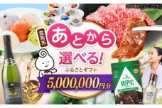 【あとから選べる】雲南市ふるさとギフト 500万円分 カタログギフト あとから寄附 あとからギフト あとからセレクト 選べる寄附 島根県雲南市/雲南市ふるさと納税 [AIDM021]