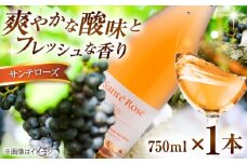 【2025年新作】サンテローズ（カベルネソーヴィニヨンロゼ・スパークリング）750ml×1本 ワイン お酒 ぶどう 島根県雲南市/有限会社奥出雲葡萄園 [AICS090]